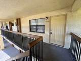 11339 Royal Palm Boulevard - Photo 12