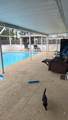 1681 Fairfield Street - Photo 21