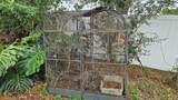 4610 Arlette Court - Photo 9