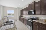 13802 Prickly Cone Cove - Photo 8