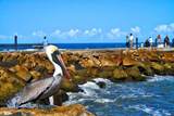 5159 Hwy A1a - Photo 84