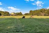 8505 Immokolee Road - Photo 86