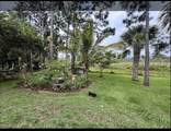 4432 Sweetwood Way - Photo 38
