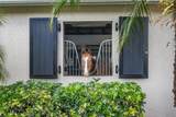 15380 46th Lane - Photo 62