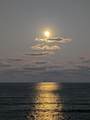 4200 Highway A1a - Photo 22