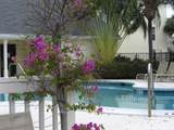 6323 La Costa Drive - Photo 36