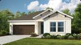 11984 Macelli Way - Photo 1