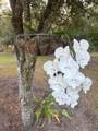 15136 292nd Street - Photo 40