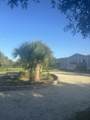 15136 292nd Street - Photo 66