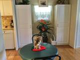 114 Camino Del Rio - Photo 15