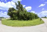 4299 Jive Street - Photo 4
