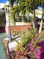 4215 Meadow View Drive - Photo 27