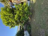 1219 Coral Reef Street - Photo 11