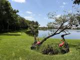 4291 Pine Island Road - Photo 9