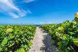 2575 Ocean Boulevard - Photo 45