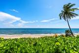 2000 Ocean Boulevard - Photo 7