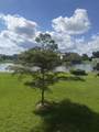359 Preston I - Photo 12