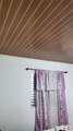 665 Mussumes - Photo 8