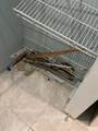 5507 Park Rd - Photo 10