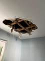 5507 Park Rd - Photo 11