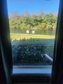 2664 Carambola Cirn - Photo 5