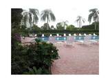3000 Palm Aire Dr - Photo 16