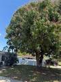 1317 25th St - Photo 22