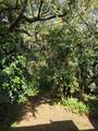 9400 Live Oak Pl - Photo 22