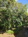 9400 Live Oak Pl - Photo 23
