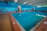 2058 Newport N - Photo 31