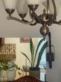 9280 3rd St - Photo 7