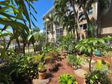 4117 Bougainvilla Dr - Photo 25