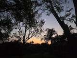 1817 Leafy Rd - Photo 45