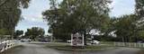 1817 Leafy Rd - Photo 49