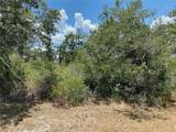 Lot 24 Indian Lake Drive - Photo 6