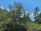 Lot 24 Indian Lake Drive - Photo 7