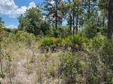 Lot 24 Indian Lake Drive - Photo 9