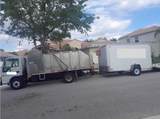  199 - Photo 1