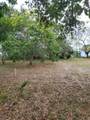 56 Ave - Photo 6