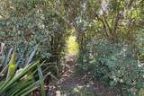 4500 Cedar Hill Road - Photo 58