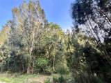 10128 20th Ln - Photo 1