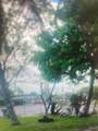 901 24th Ave - Photo 2