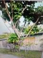 901 24th Ave - Photo 4
