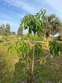 15148 288th St - Photo 32