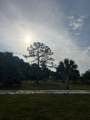 15148 288th St - Photo 38