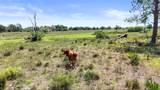 2777 Everhigh Acres Rd - Photo 15