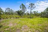3182 Sorrel St - Photo 47