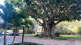 2601 Course Dr - Photo 29