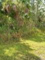 2655 Labin Ave - Photo 2