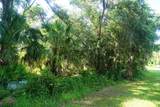 4253 Goldfair Ln - Photo 6